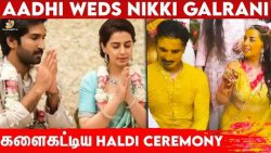 விமர்சையாக நடந்த Nikki??Aadhi Wedding Ceremony | Aarya