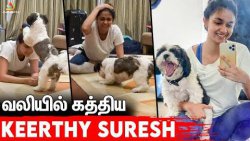 மண்ட பத்திரம் vibes ?? Keerthy Suresh தலைமுடியை கவ்விய நாய் குட்டி Nyke | Cute Dog Compilation