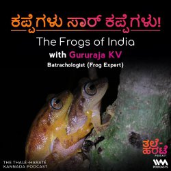 ಕಪ್ಪೆಗಳು ಸಾರ್ ಕಪ್ಪೆಗಳು! The Frogs of India ft. Gururaja KV
