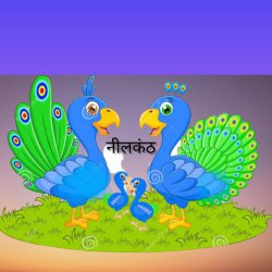 NeelKanth | Story of a Graceful Bird Peacock 🦚 | Featured Hindi story | Birds and Animals Story  - A World Of Music
