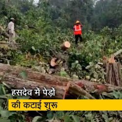 छत्तीसगढ़ : हसदेव में पेड़ों की कटाई शुरू, ग्रामीणों का विरोध रोकने के लिए पुलिसबल तैनात