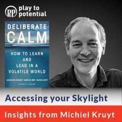 672: 99.04 Michiel Kruyt - Accessing your Skylight