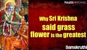 Why Sri Krishna said grass flower is the greatest