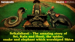 Srikalahasti - The amazing story of Sri, Kala and Hasti, the spider, snake and elephant which worshiped Shiva