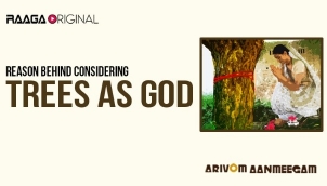 Reason behind considering trees as God