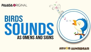 Birds sounds as Omens and Signs 