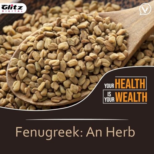 Fenugreek : An Herb