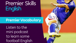 Premier Vocabulary - Easy - Volley