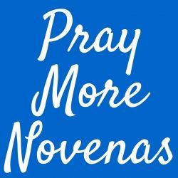 Day 7 – Our Lady of Lourdes Novena | 2024