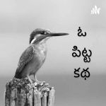 Oo Pitta Katha Telugu Podcast