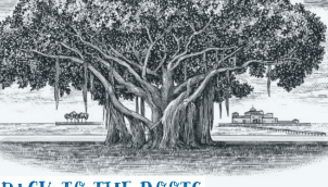 9: The Great Banyan Tree