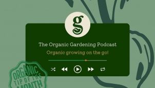 S4 Ep10: October: What is a resilient garden? With Sally Morgan