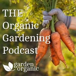 S4 Ep4: April - How to grow pulses