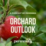 Orchard Outlook