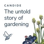 The Untold Story Of Gardening