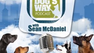 SESSION 38: What is the Dog Land App?  Has Social Media Gone to the Dogs?