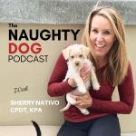 The Naughty Dog Podcast