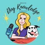 Bravo Dog Knowledge: Dog Training Podcast