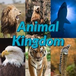 Top 5 Deadliest and Longest Living Animals on Earth (1 year anniversary  special)  - A World Of Music